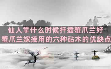 仙人掌什么时候扦插蟹爪兰好 蟹爪兰嫁接用的六种砧木的优缺点